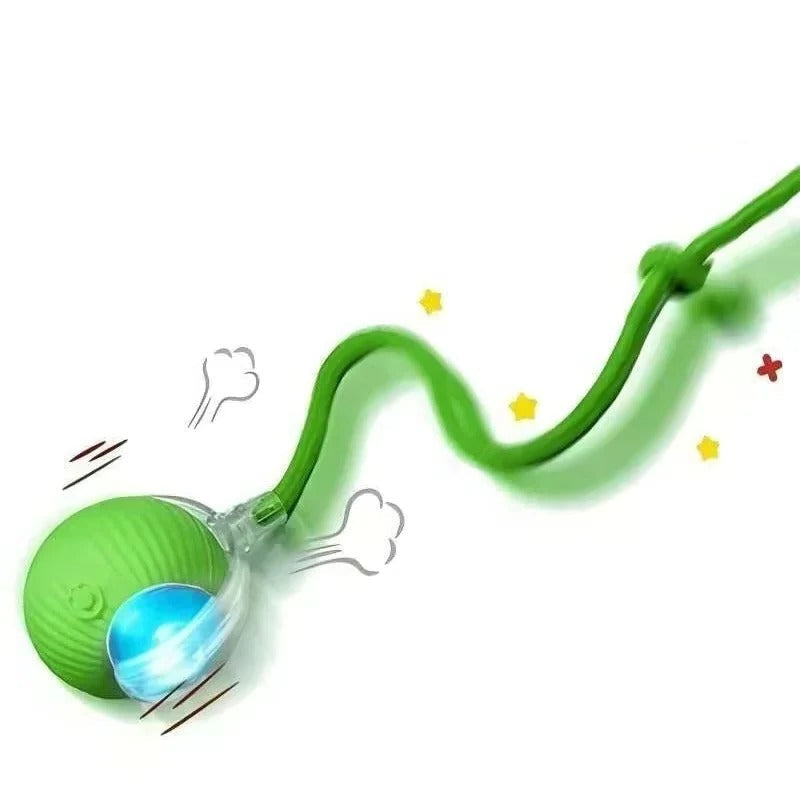 Rechargeable Pet Play Ball for Engaging Fun