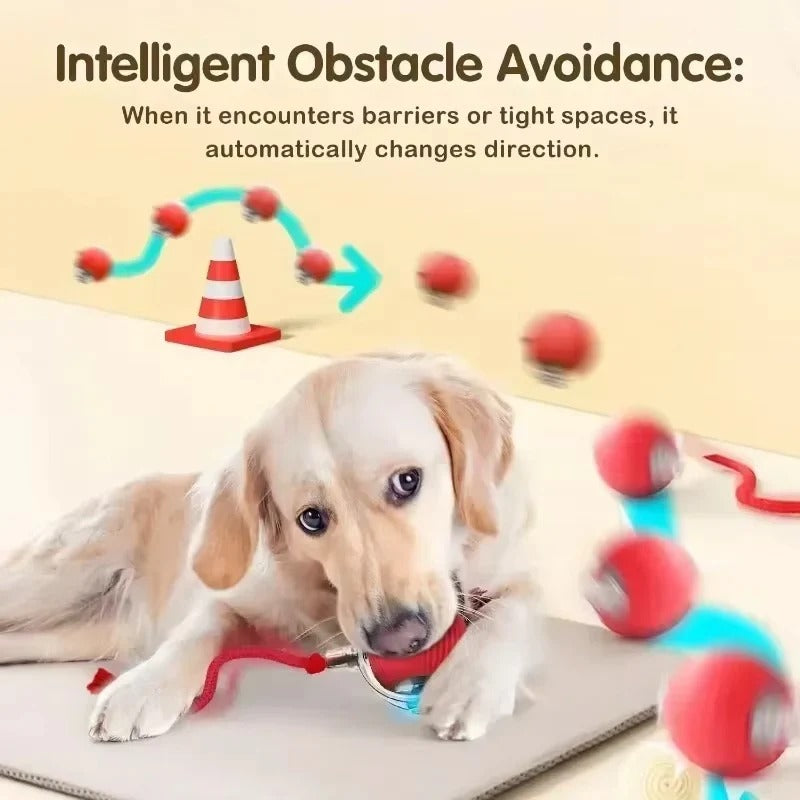 Rechargeable Pet Play Ball for Engaging Fun