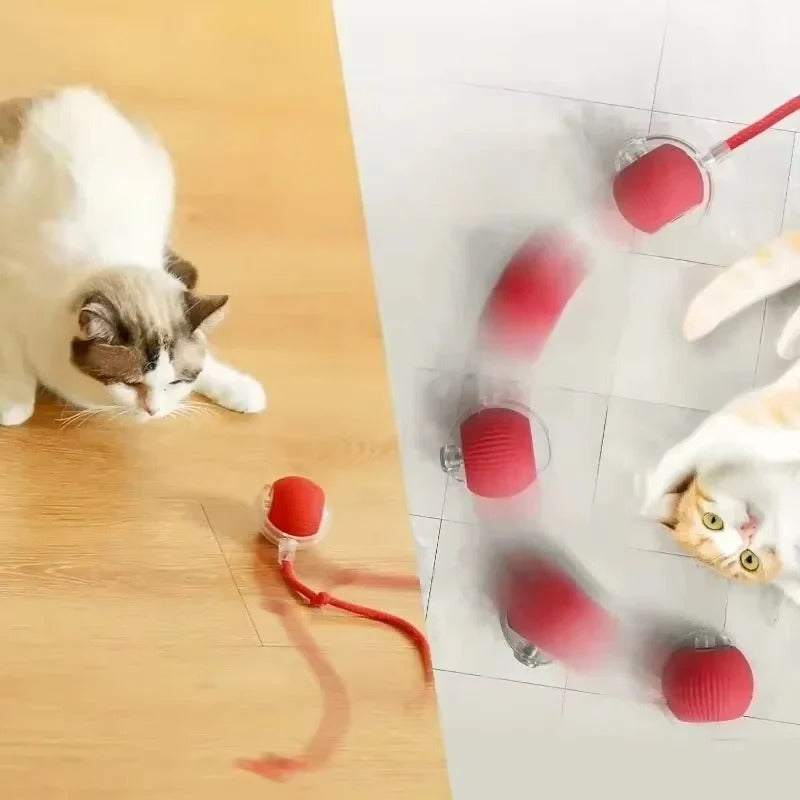 Rechargeable Pet Play Ball for Engaging Fun