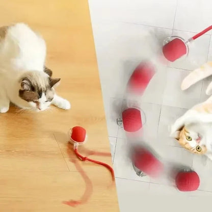 Rechargeable Pet Play Ball for Engaging Fun