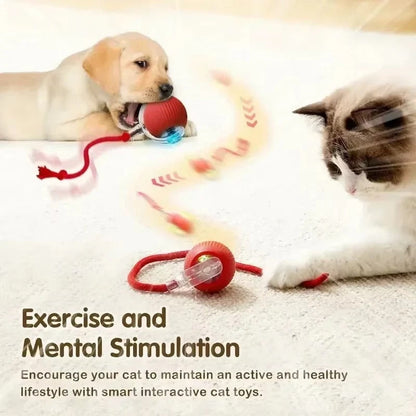 Rechargeable Pet Play Ball for Engaging Fun