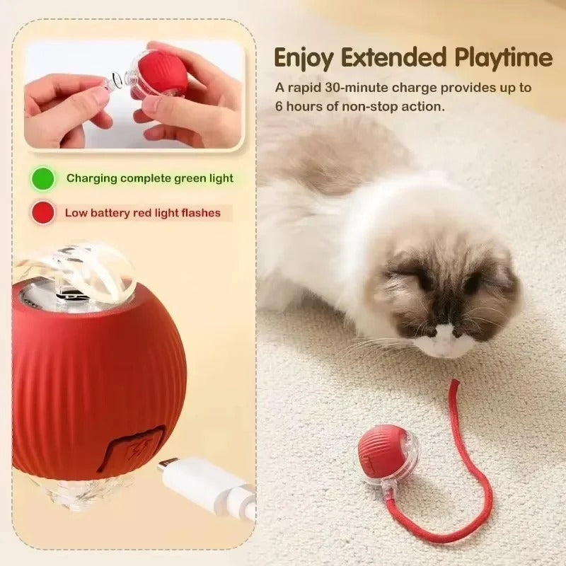 Rechargeable Pet Play Ball for Engaging Fun
