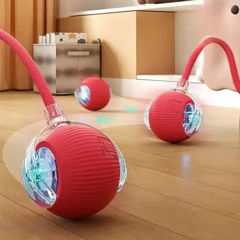 Rechargeable Pet Play Ball for Engaging Fun