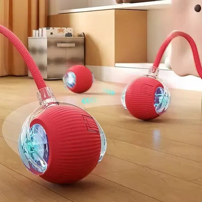 Rechargeable Pet Play Ball for Engaging Fun