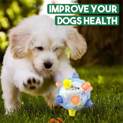 Energetic Play Ball for Dogs with Lights and Sounds