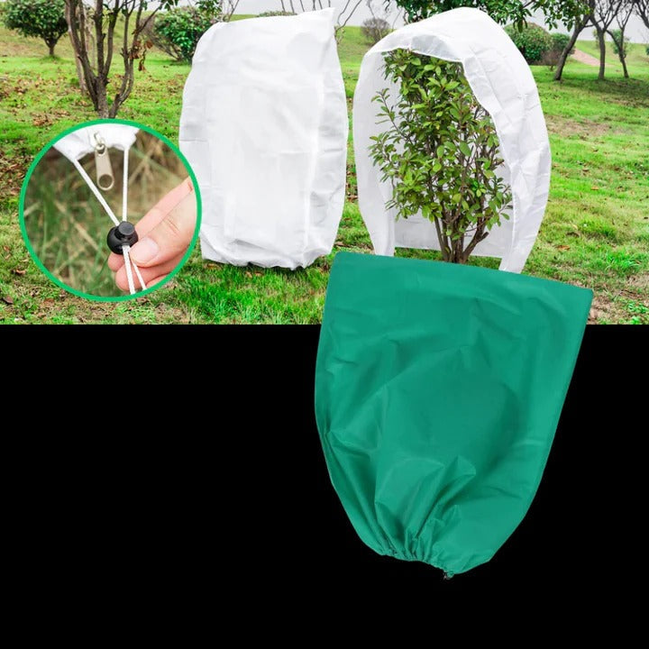 Winter Protection Bags for Your Garden Plants