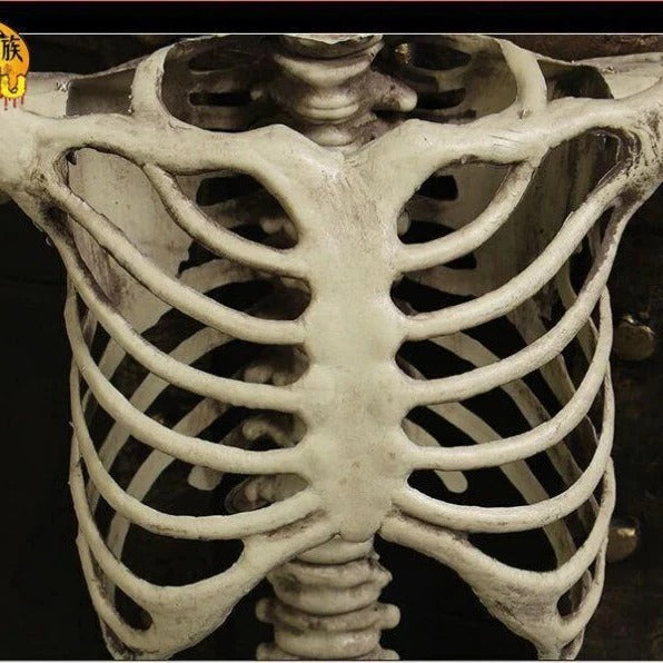 Life-Size Posable Skeleton for Spooky Halloween Decor
