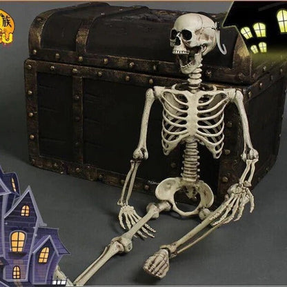 Life-Size Posable Skeleton for Spooky Halloween Decor
