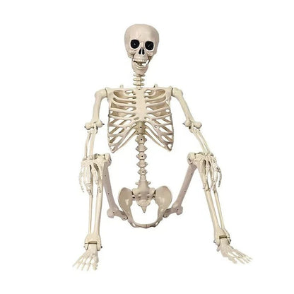 Life-Size Posable Skeleton for Spooky Halloween Decor