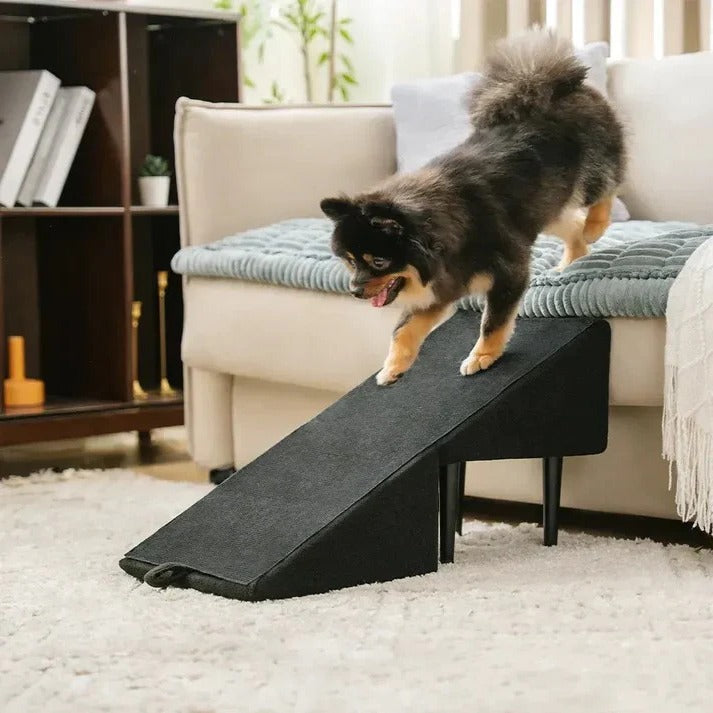 Versatile Pet Access Ramp and Step Stool for Dogs