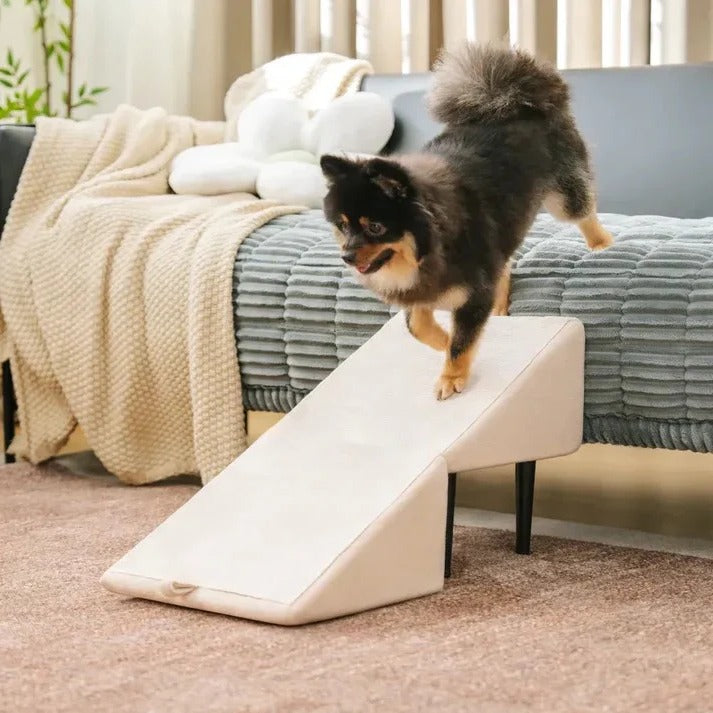 Versatile Pet Access Ramp and Step Stool for Dogs