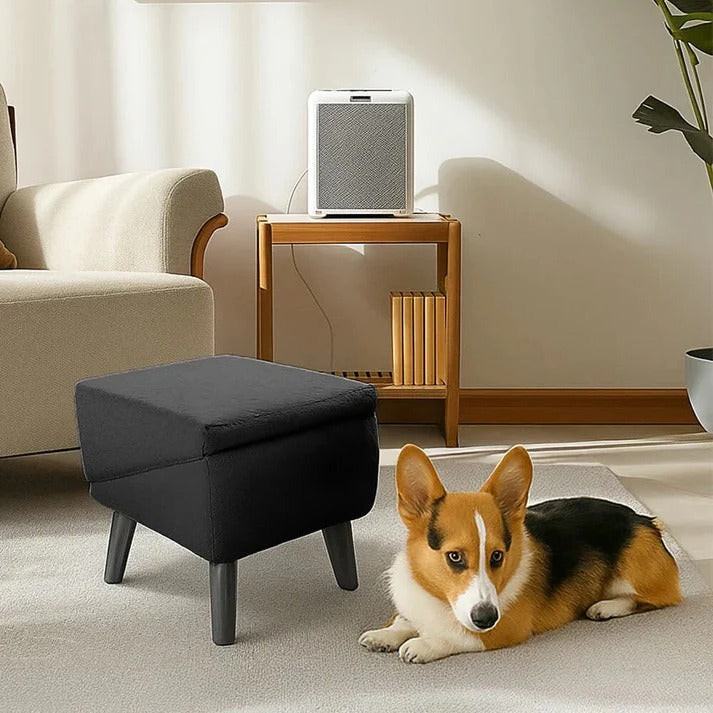 Versatile Pet Access Ramp and Step Stool for Dogs