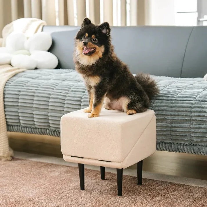 Versatile Pet Access Ramp and Step Stool for Dogs