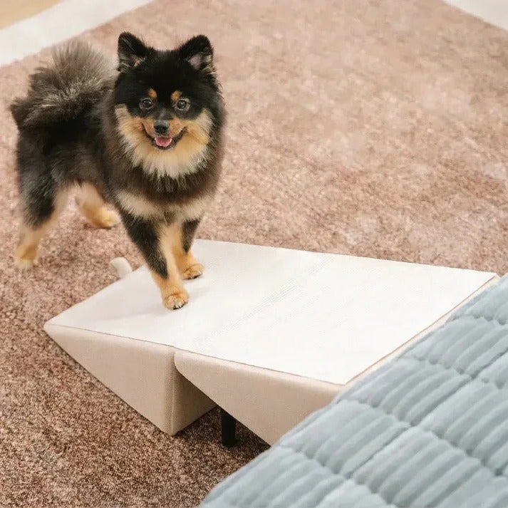 Versatile Pet Access Ramp and Step Stool for Dogs