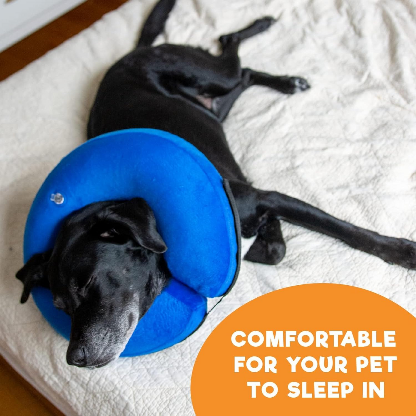 Adjustable Air-Filled Recovery Collar for Pets, Large Size