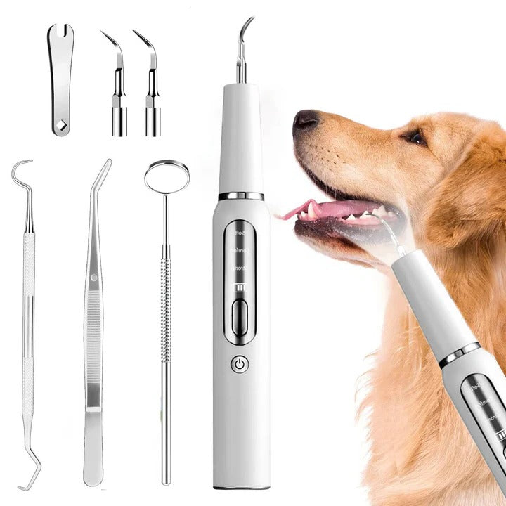 Gentle Ultrasonic Dental Care Tool for Dogs