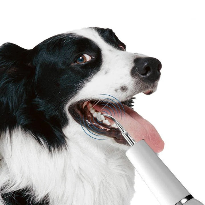Gentle Ultrasonic Dental Care Tool for Dogs
