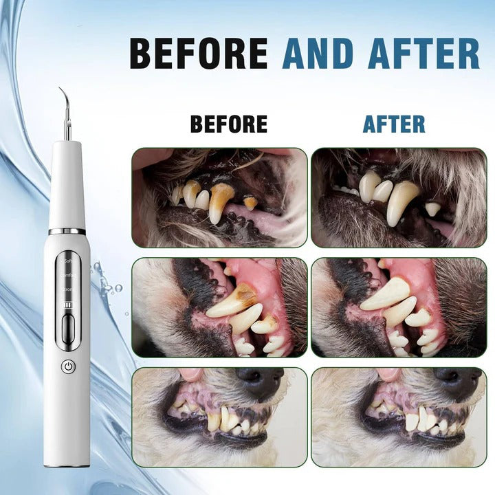 Gentle Ultrasonic Dental Care Tool for Dogs