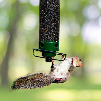 Wildlife-Friendly Bird Feeder with Transparent Seed Reservoir