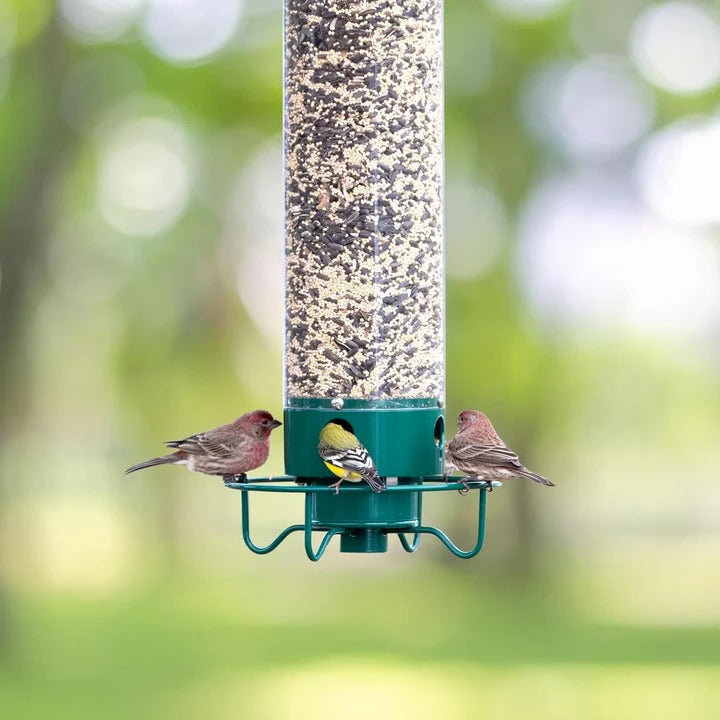 Wildlife-Friendly Bird Feeder with Transparent Seed Reservoir