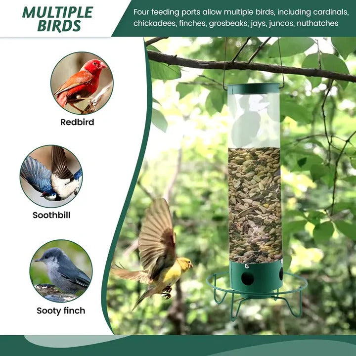 Wildlife-Friendly Bird Feeder with Transparent Seed Reservoir