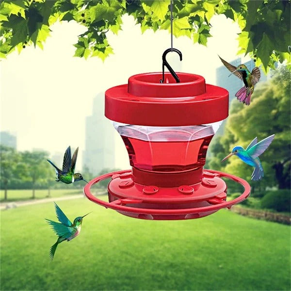 Vibrant Hummingbird Nectar Station with Ant Barrier