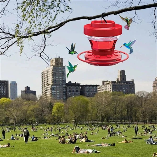 Vibrant Hummingbird Nectar Station with Ant Barrier