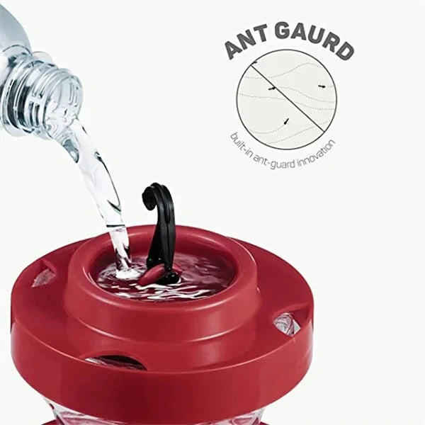 Vibrant Hummingbird Nectar Station with Ant Barrier