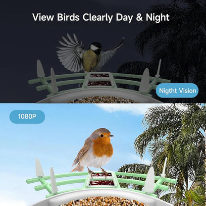 Smart Bird Feeder with HD Camera and Solar Power