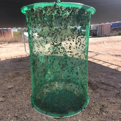 Eco-Friendly Fly Catcher for Gardens and Stables