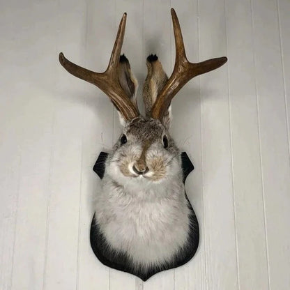 Charming Wall-Mounted Antlered Creature Decor