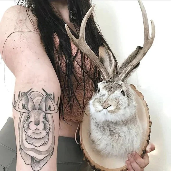 Charming Wall-Mounted Antlered Creature Decor