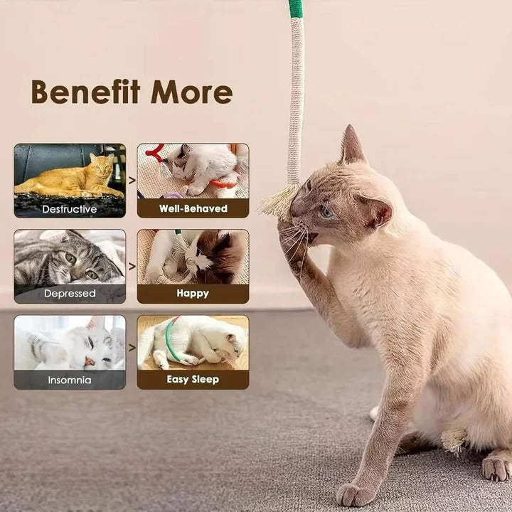 3-Piece Cat Play and Chew Set with Natural Silvervine