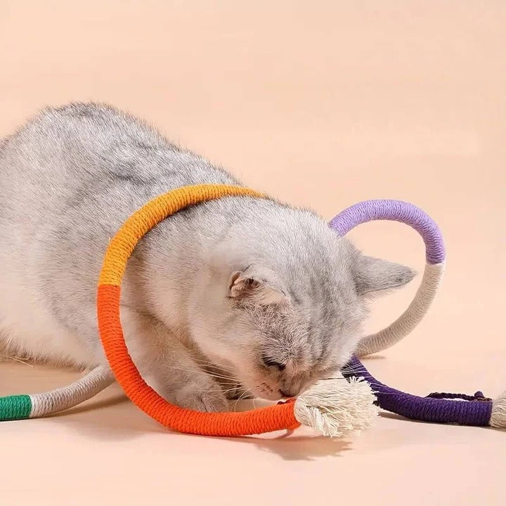 3-Piece Cat Play and Chew Set with Natural Silvervine