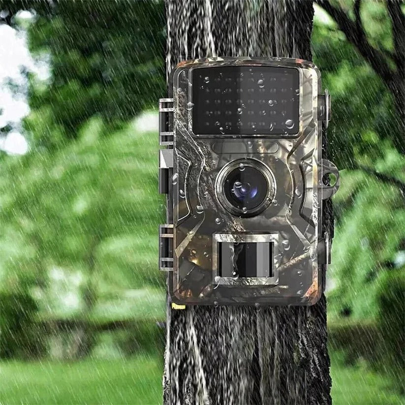 All-Weather Wildlife Surveillance Camera with Night Vision