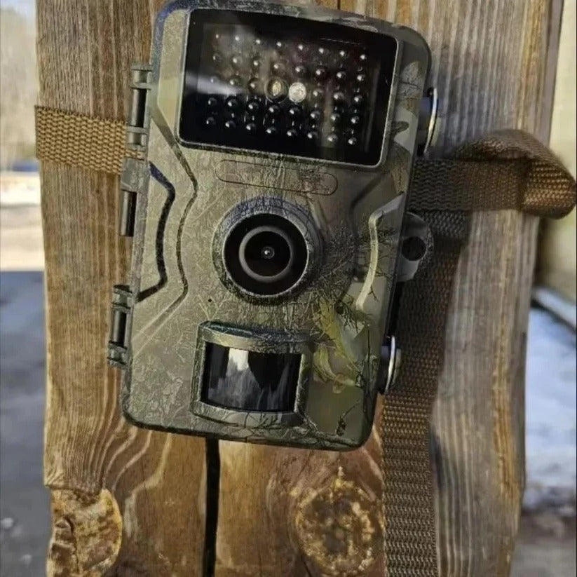 All-Weather Wildlife Surveillance Camera with Night Vision
