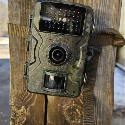 All-Weather Wildlife Surveillance Camera with Night Vision