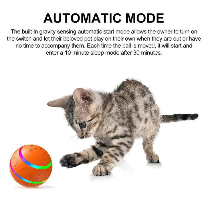 Smart Motion Pet Sphere with Remote Control Functionality