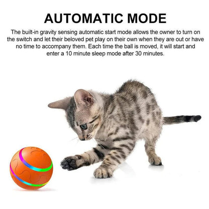 Smart Motion Pet Sphere with Remote Control Functionality