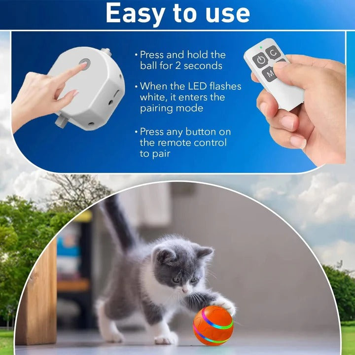 Smart Motion Pet Sphere with Remote Control Functionality