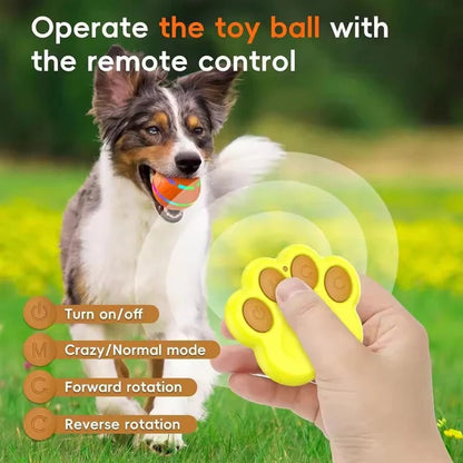 Smart Motion Pet Sphere with Remote Control Functionality
