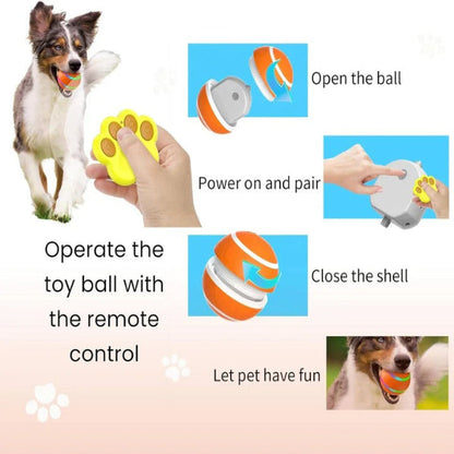 Smart Motion Pet Sphere with Remote Control Functionality