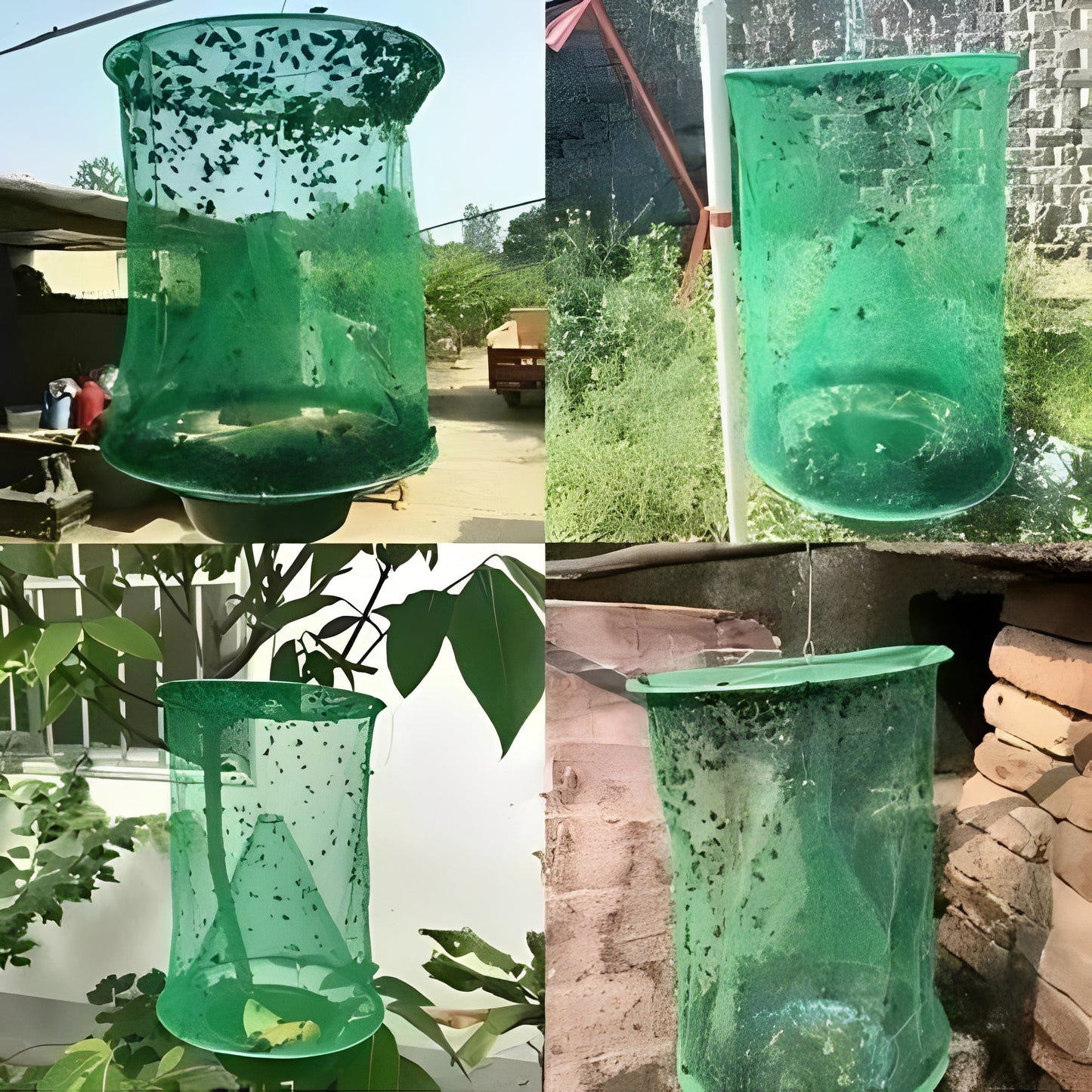 Eco-Friendly Fly Catcher with Easy Bait Refill System