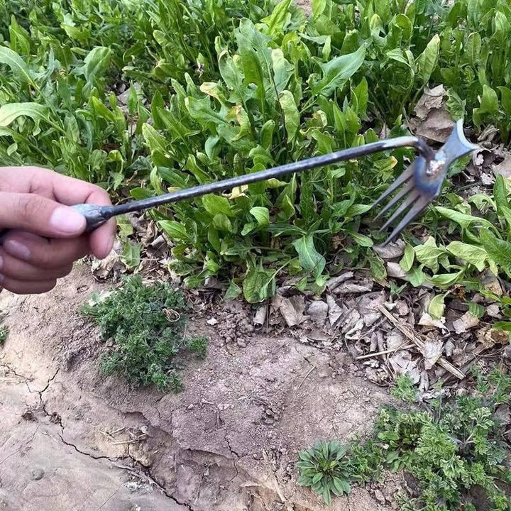 ErgoWeed Precision Hand Tool with Four Steel Tines for Lawn Care