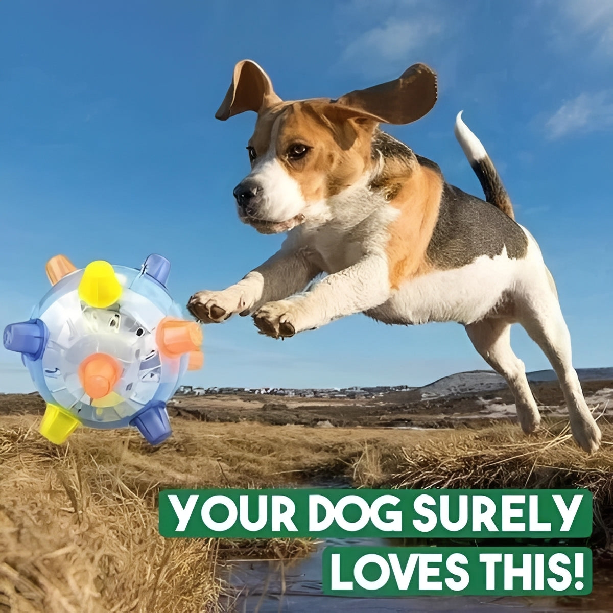 Exciting Rechargeable Dog Playball with Bouncing Features