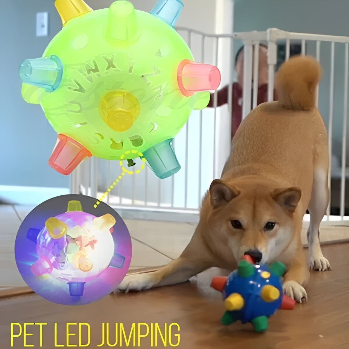 Exciting Rechargeable Dog Playball with Bouncing Features
