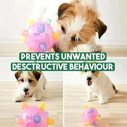 Exciting Rechargeable Dog Playball with Bouncing Features