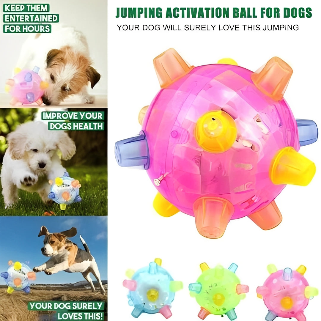 Exciting Rechargeable Dog Playball with Bouncing Features
