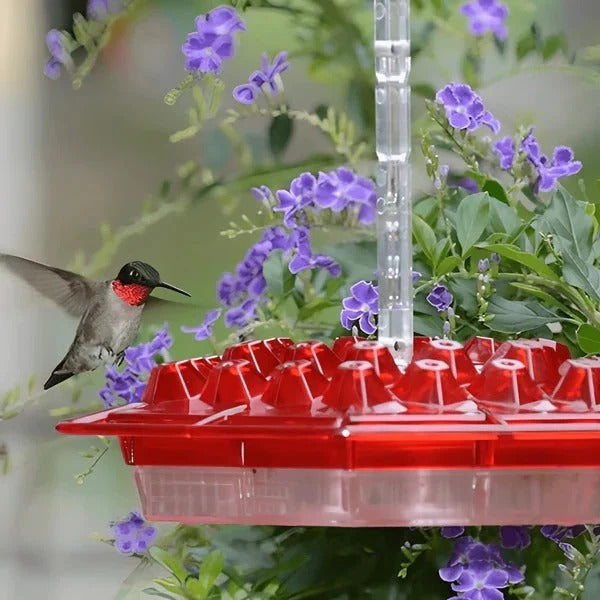 Elegant Hummingbird Nectar Dispenser with Ant Barrier