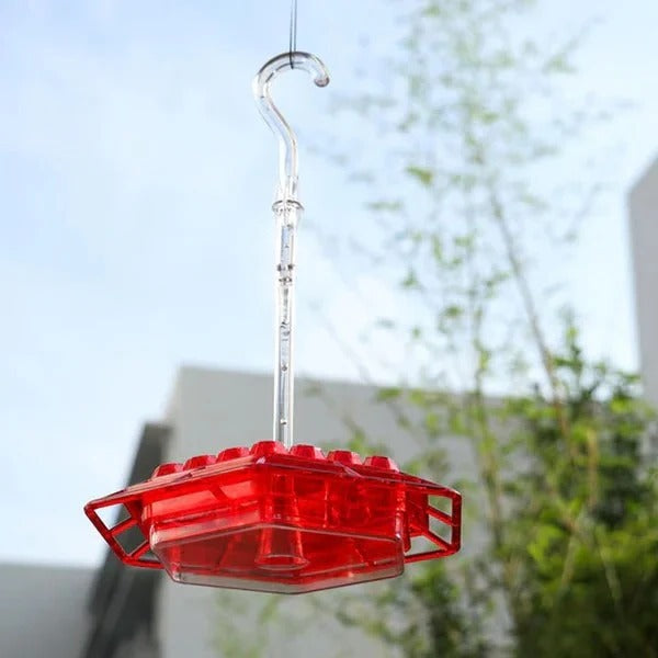 Elegant Hummingbird Nectar Dispenser with Ant Barrier